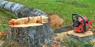 Best Firewood Processing and Delivery  in Pea Ridge, FL